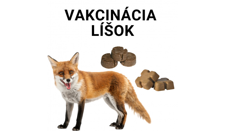 Orálna vakcinácia líšok proti besnote - jesenná kampaň 2023