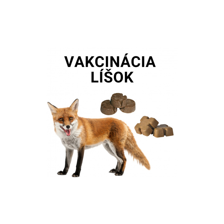 Orálna vakcinácia líšok proti besnote - jesenná kampaň 2023