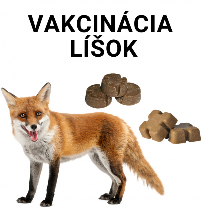 Orálna vakcinácia líšok proti besnote 2023
